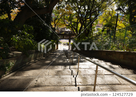 Traditional Torii Gate in a Japanese Shrine Surrounded, Tokyo Dec 10 2024 Traditional Torii Gate in a Japanese Shrine Surrounded, Tokyo Dec 10 2024 124527729