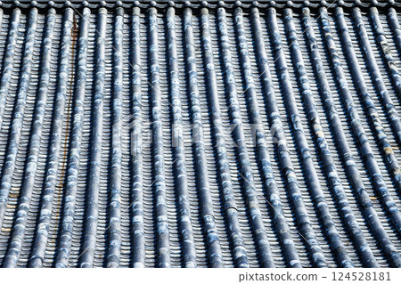 簡單而具有歷史意義的屋頂瓦片場景 124528181