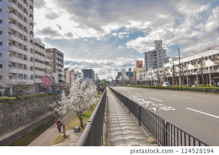 Spring streetscape with waterways in Horikawa-dori, Kyoto 124528194