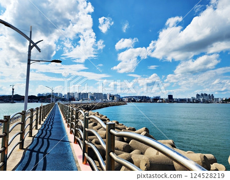 wooden bridge over the sea 124528219