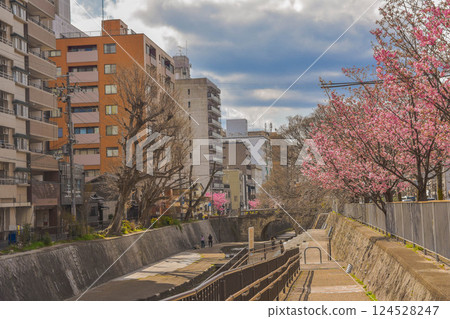 Spring streetscape with waterways in Horikawa-dori, Kyoto 124528247