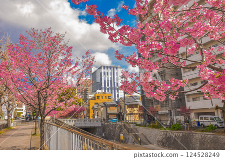 京都堀川通的春季街景與水道 124528249