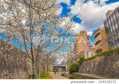 Spring streetscape with waterways in Horikawa-dori, Kyoto 124528272