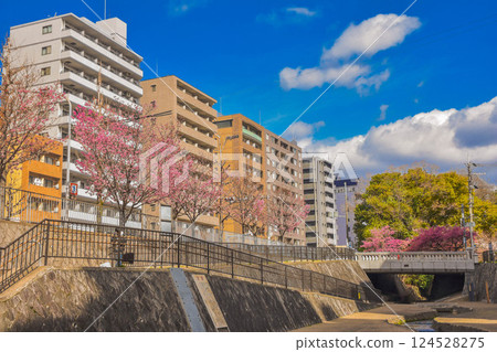 Spring streetscape with waterways in Horikawa-dori, Kyoto 124528275