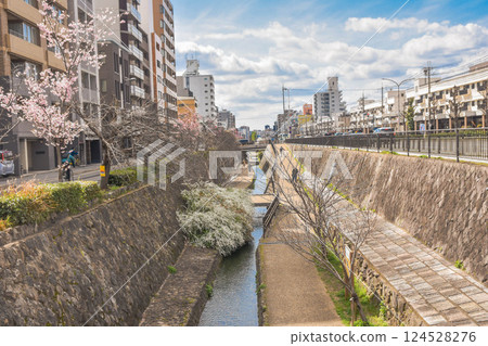 Spring streetscape with waterways in Horikawa-dori, Kyoto Spring streetscape with waterways in Horikawa-dori, Kyoto 124528276