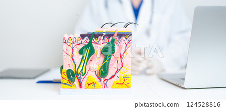 Dermatologist with anatomy model of human skin with hair. Doctor show structure of Skin, Skin disease and Hair loss. Health care, Dermatology treatment, Cosmetic surgery and Beauty consultation clinic Dermatologist with anatomy model of human skin with hair. Doctor show structure of Skin, Skin disease and Hair loss. Health care, Dermatology treatment, Cosmetic surgery and Beauty consultation clinic 124528816