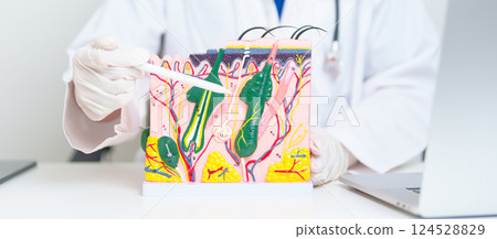 Dermatologist with anatomy model of human skin with hair. Doctor show structure of Skin, Skin disease and Hair loss. Health care, Dermatology treatment, Cosmetic surgery and Beauty consultation clinic 124528829
