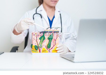 Dermatologist with anatomy model of human skin with hair. Doctor show structure of Skin, Skin disease and Hair loss. Health care, Dermatology treatment, Cosmetic surgery and Beauty consultation clinic Dermatologist with anatomy model of human skin with hair. Doctor show structure of Skin, Skin disease and Hair loss. Health care, Dermatology treatment, Cosmetic surgery and Beauty consultation clinic 124528832
