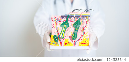 Dermatologist hand holding anatomy model of human skin with hair. Skin disease and Hair loss. Health care, Melanoma and skin cancer, Insurance, Dermatology treatment and Beauty consultation clinic 124528844
