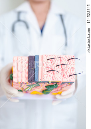 Dermatologist hand holding anatomy model of human skin with hair. Skin disease and Hair loss. Health care, Melanoma and skin cancer, Insurance, Dermatology treatment and Beauty consultation clinic Dermatologist hand holding anatomy model of human skin with hair. Skin disease and Hair loss. Health care, Melanoma and skin cancer, Insurance, Dermatology treatment and Beauty consultation clinic 124528845