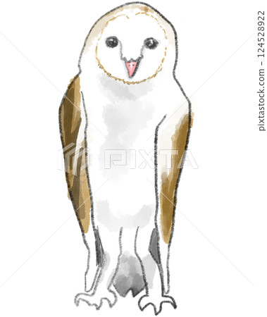 手繪風格的穀倉貓頭鷹插圖 124528922