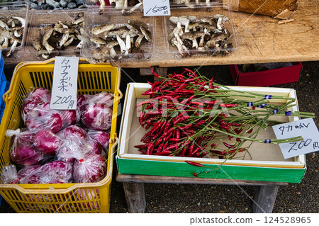 Miyagawa Morning Market along the Miyagawa River in Takayama City, Gifu Prefecture Miyagawa Morning Market along the Miyagawa River in Takayama City, Gifu Prefecture 124528965