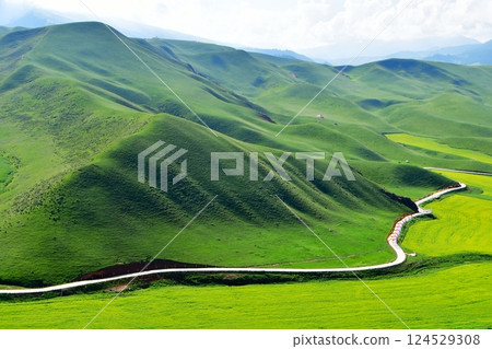Photo of a road in a valley of alpine grasslands 124529308