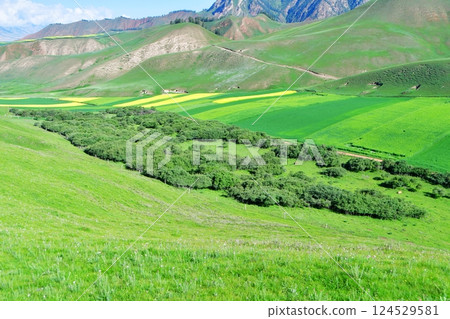 Photo of the mountains and valleys of Qilian Mountains, Qinghai Province, China 124529581