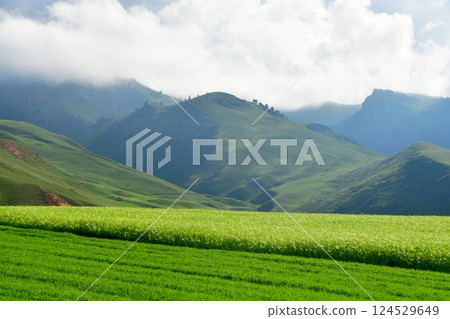 Photo of the mountains and valleys of Qilian Mountains, Qinghai Province, China Photo of the mountains and valleys of Qilian Mountains, Qinghai Province, China 124529649