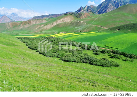 Photo of the mountains and valleys of Qilian Mountains, Qinghai Province, China Photo of the mountains and valleys of Qilian Mountains, Qinghai Province, China 124529693