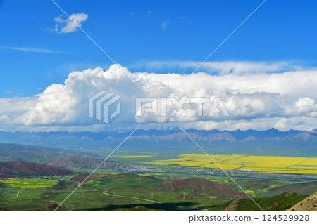 Photo of rapeseed fields in a valley in the Qilian Mountains, Qinghai Province, China Photo of rapeseed fields in a valley in the Qilian Mountains, Qinghai Province, China 124529928
