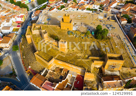 Aerial view of Guadix city and Alcazaba fortness in Spain 124529991