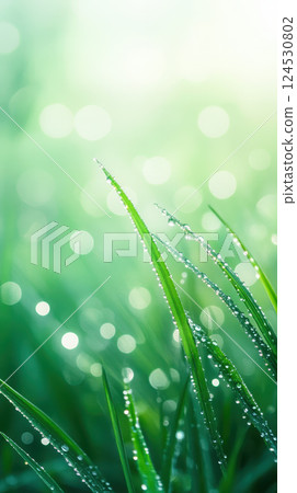foggy spring morning with dewdrops on grass creates serene atmosphere foggy spring morning with dewdrops on grass creates serene atmosphere 124530802