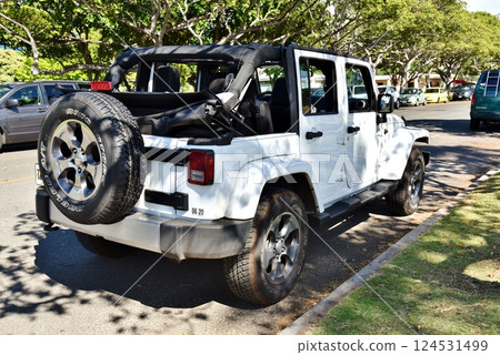 夏威夷的假期 124531499