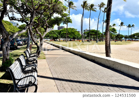 夏威夷的假期 124531500