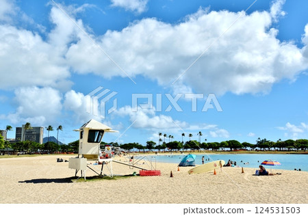 夏威夷的假期 夏威夷的假期 124531503