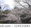 Cherry Blossom Festival 124531681