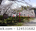 Cherry Blossom Festival 124531682