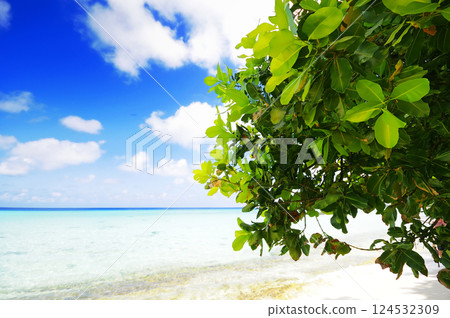 Photos of Maldives Beach Photos of Maldives Beach 124532309