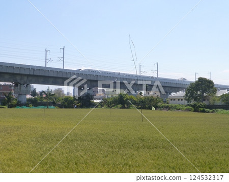台灣台中 — 03.04.2025:台灣高鐵列車穿過大雅區成熟的麥田 台灣台中 — 03.04.2025:台灣高鐵列車穿過大雅區成熟的麥田 124532317