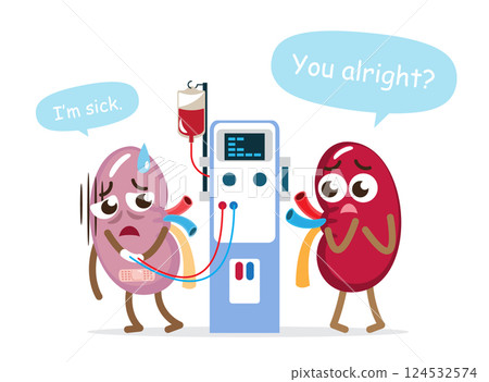 Chronic kidney disease, normal kidney and hemodialysis machine . Cute medical cartoon character . Isolated white background . Vector . 124532574