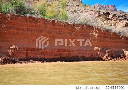 the banks of the Colorado River in the Grand Canyon, Arizona, USA 124533001