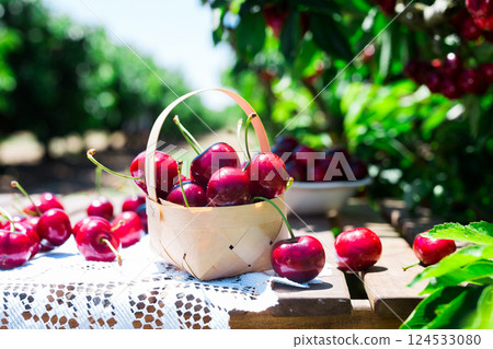 Still life of cherries in wicker basket on table in garden 124533080