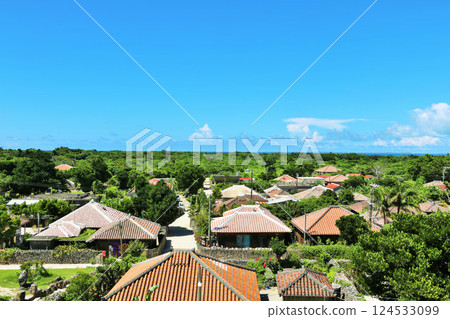 Okinawa, Taketomi Island, Village Scenery Under the Blue Sky 124533099