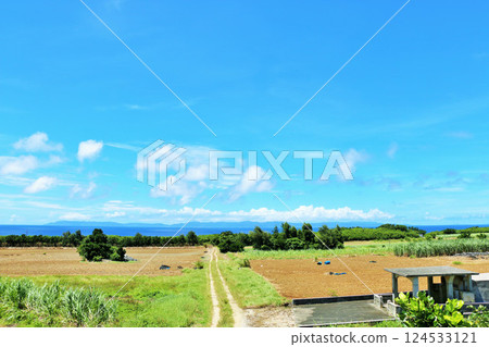 Okinawa: Hateruma Island in summer 124533121