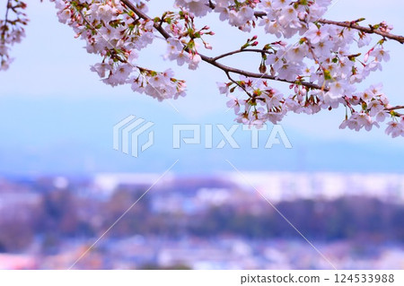 從櫻花山看到的風景 從櫻花山看到的風景 124533988