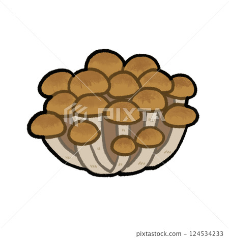 Bunshimeji 蘑菇圖 Bunshimeji 蘑菇圖 124534233