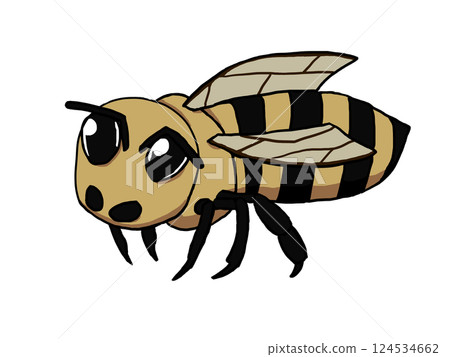 A single honeybee 124534662