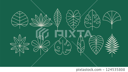 Minimalist summer tropical leaves design collection. Linear simple, modern style. Summer Minimalist summer tropical leaves design collection. Linear simple, modern style. Summer 124535808