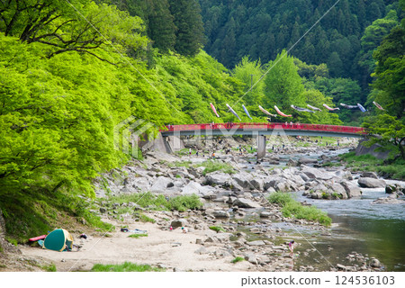 香嵐溪的新綠（愛知縣豐田市足助町） 124536103