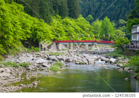 香嵐溪的新綠（愛知縣豐田市足助町） 124536105
