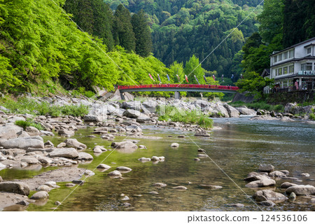 Fresh greenery in Korankei (Asuke Town, Toyota City, Aichi Prefecture) 124536106