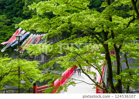 Fresh greenery in Korankei (Asuke Town, Toyota City, Aichi Prefecture) 124536107