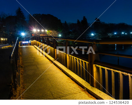 Illuminated view of Inokashira Park at night 124536420