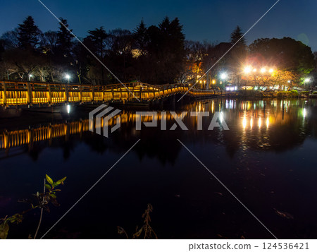 Illuminated view of Inokashira Park at night 124536421