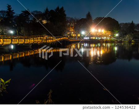 Illuminated view of Inokashira Park at night 124536422
