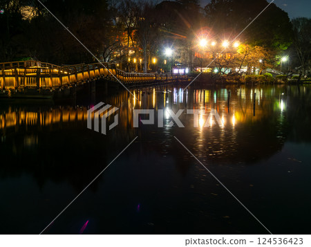 井之頭公園的夜景 井之頭公園的夜景 124536423