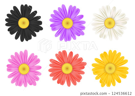Realistic chamomile daisy flower icon collection 124536612