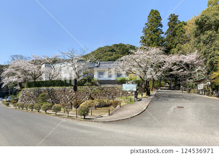 Cherry blossoms in full bloom at Saiki Cultural Center and the trailhead to the Saiki Castle ruins Cherry blossoms in full bloom at Saiki Cultural Center and the trailhead to the Saiki Castle ruins 124536971