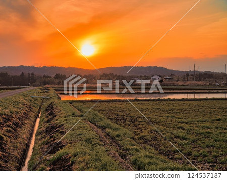 Sunset over the rice fields of Boso Sunset over the rice fields of Boso 124537187